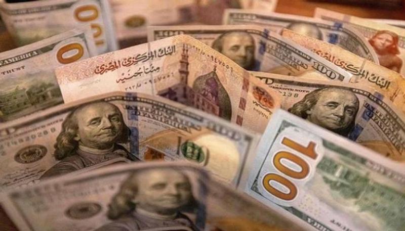 سعر الدولار في مصر اليوم  الأحد 17 نوفمبر 2024 مقابل الجنيبة