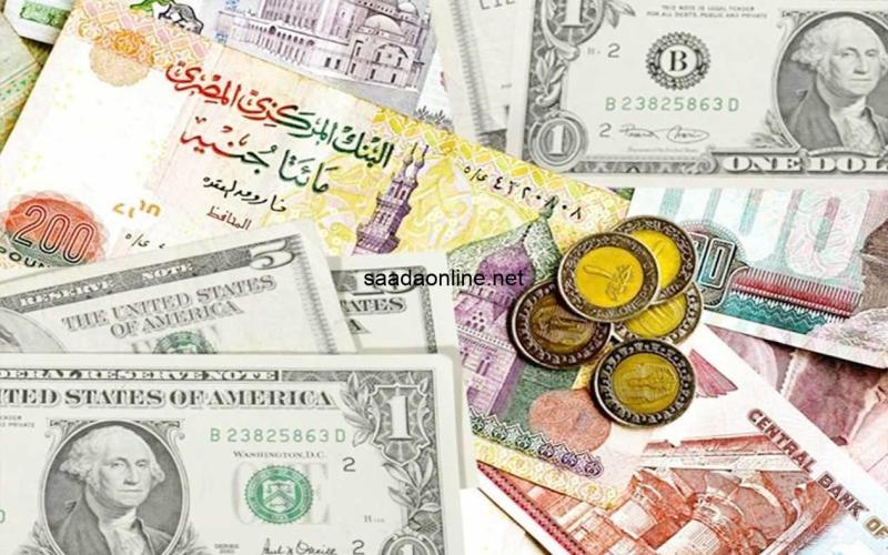 انخفاض  سعر الدولار اليوم الجمعة 22 نوفمبر 2024 في مصر