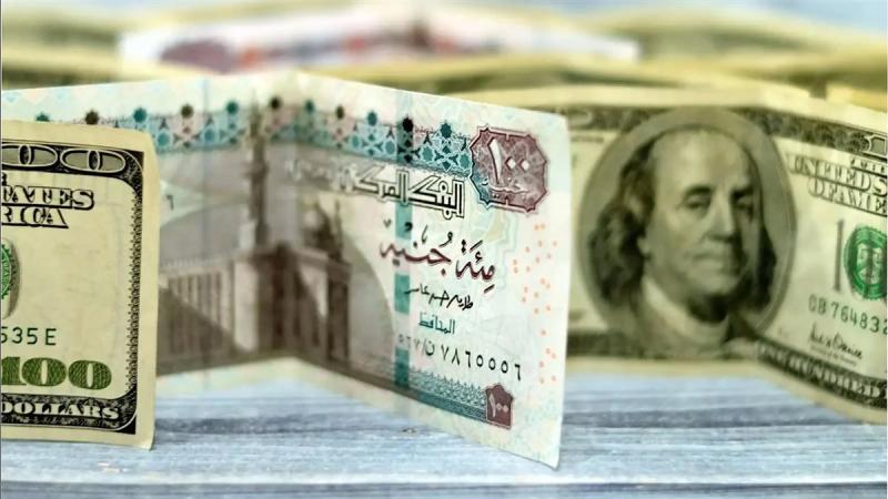 سعر الدولار