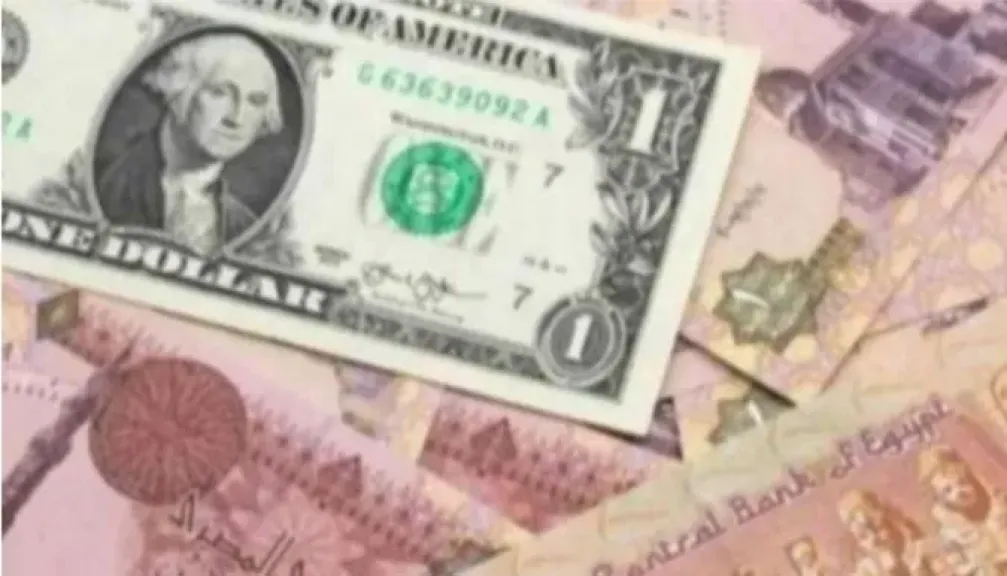 استقر ارسعر الدولار في البنوك المحلية والسوق السوداء وزيادة في تحويلات المصريين بالخارج