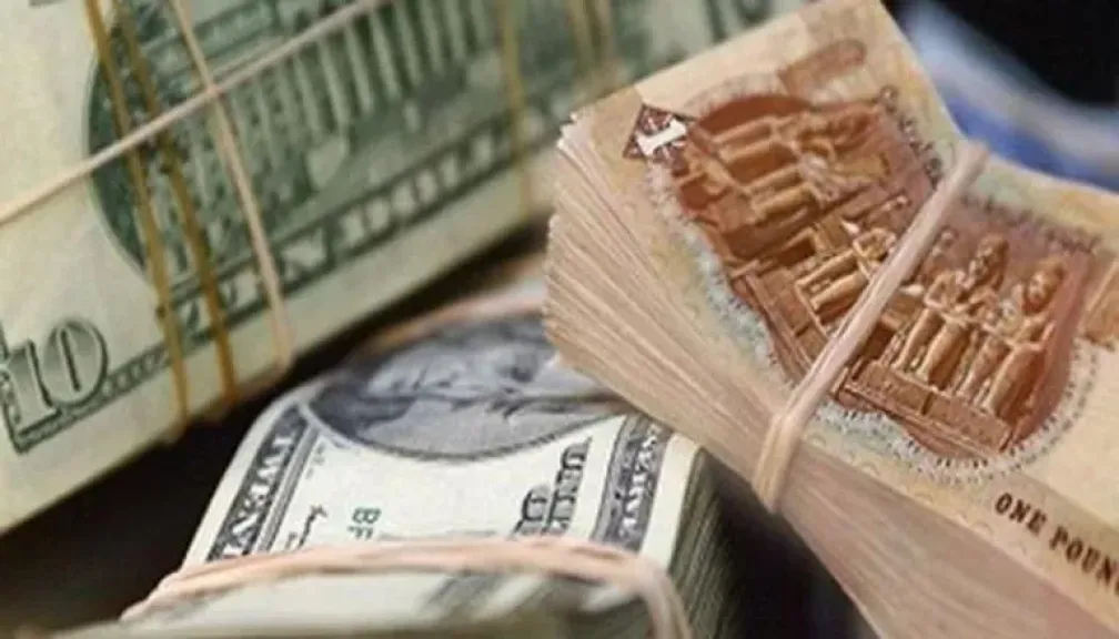 استقرار سعر الدولار في مصر اليوم 2 مايو 2025.. المركزي يواجه استحقاقات دولارية بـ3.9 مليار دولار