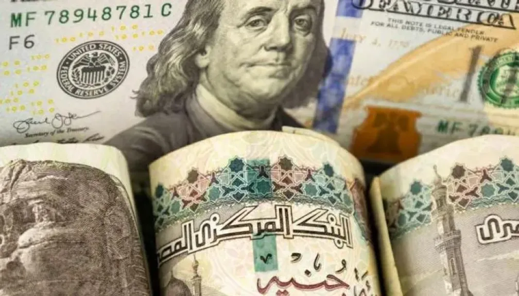 سعر الدولار في مصر اليوم السبت 3 مايو 2025.. استقرار نسبي وتحذيرات دولية بشأن الفائدة