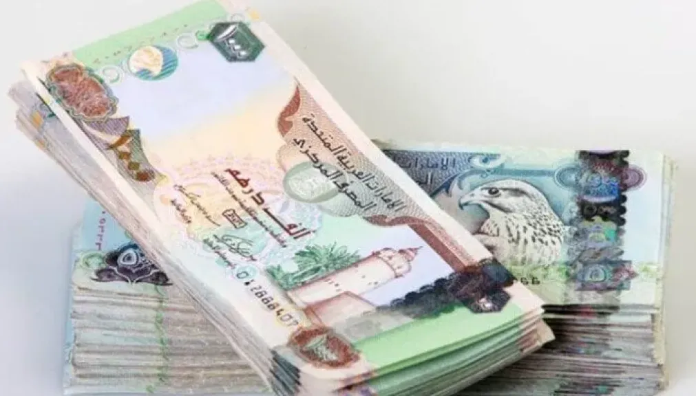 استقرار سعر الدرهم الإماراتي أمام الجنيه المصري اليوم الأربعاء 16 يوليو 2025