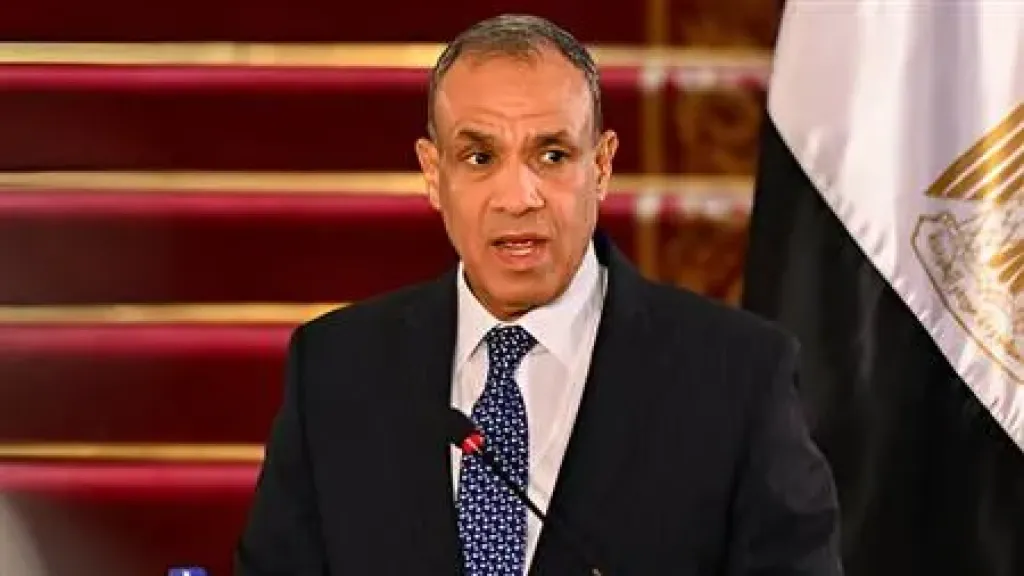 وزير الخارجية الدكتور بدر عبد العاطى