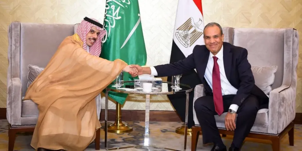 لقاء بين وزيري خارجية مصر والسعودية