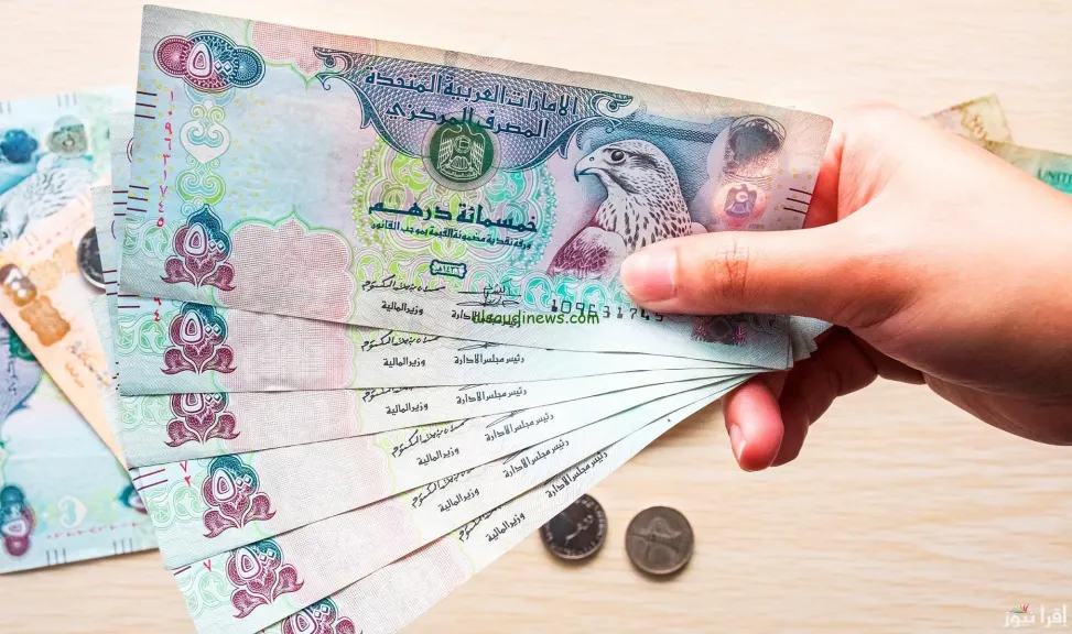 الدرهم الاماراتى