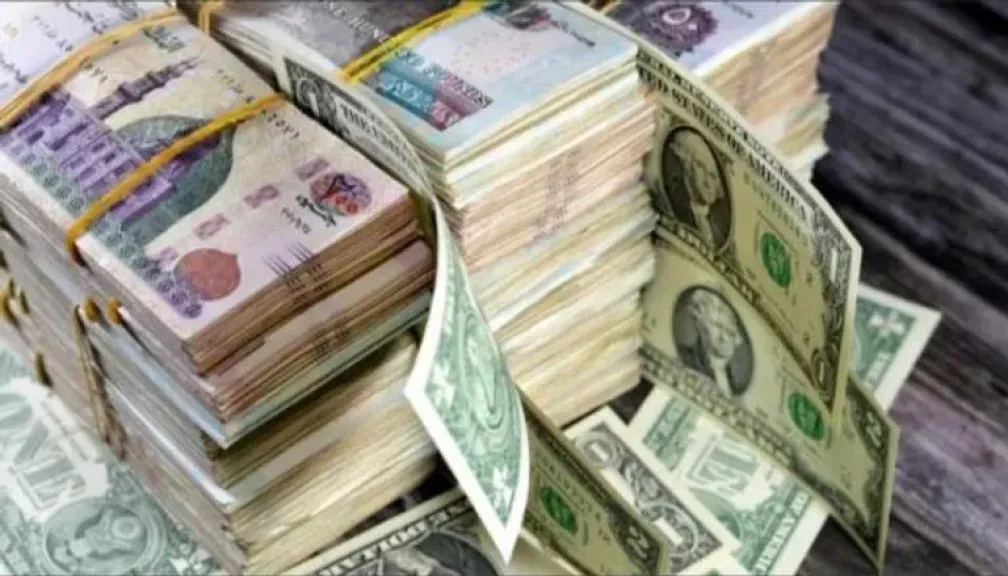 سعر الدولار اليوم الجمعة 19 سبتمبر 2025 في مصر: استقرار محلي وتعافٍ عالمي بعد قرار الفيدرالي