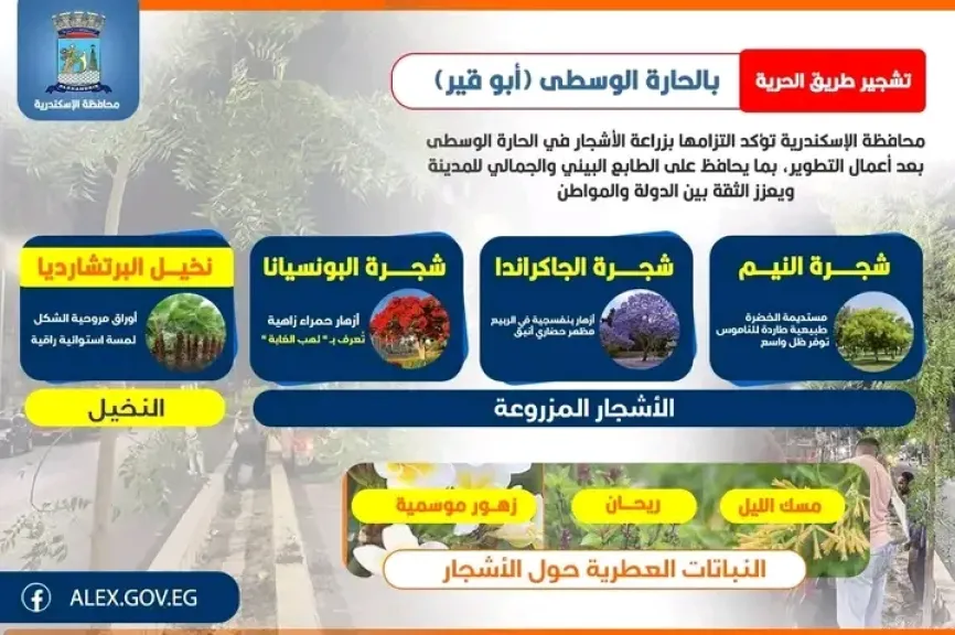 الإسكندرية تعتزم زراعة نباتات نادرة بطريق الحرية ضمن خطة تطوير المحاور المرورية