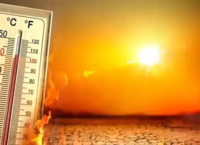 شبورة تحجب الرؤية وأمطار تطرق الأبواب… ماذا تخبئ الأرصاد لطقس السبت 15 نوفمبر 2025؟