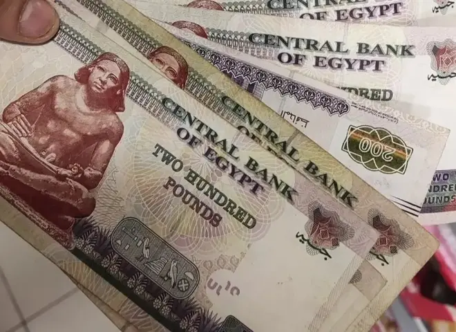 المعلمون والعاملون ينتظرون: مواعيد صرف مرتبات نوفمبر وديسمبر 2025