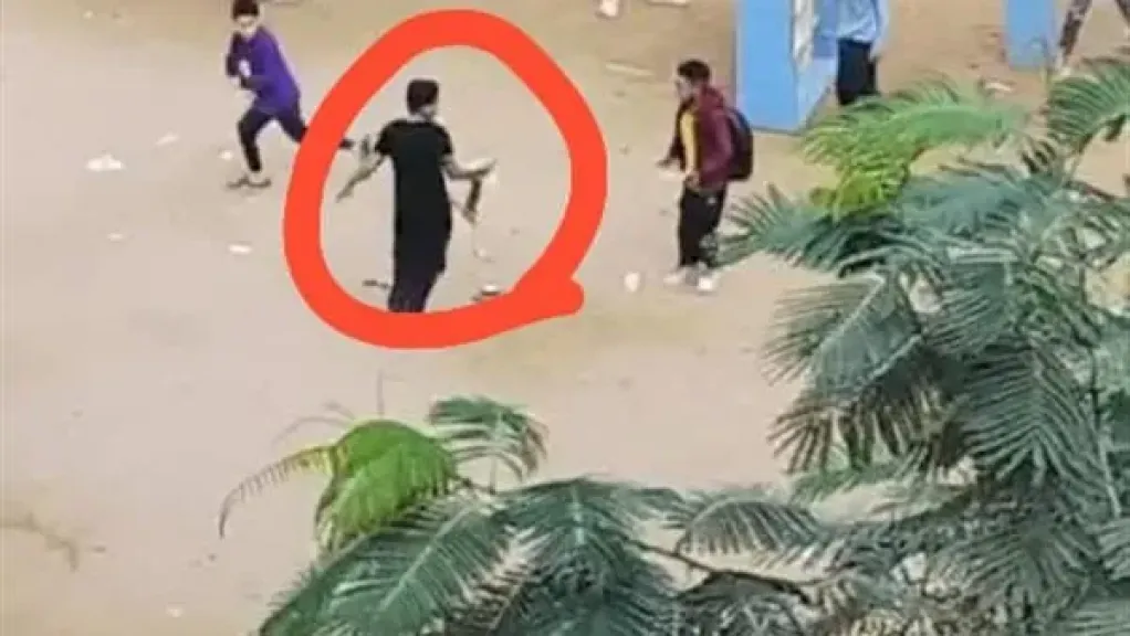 فوضى داخل مجمع مدارس شهداء الحرية بالهرم.. طالب يحمل قطة نافقة والرقابة غائبة