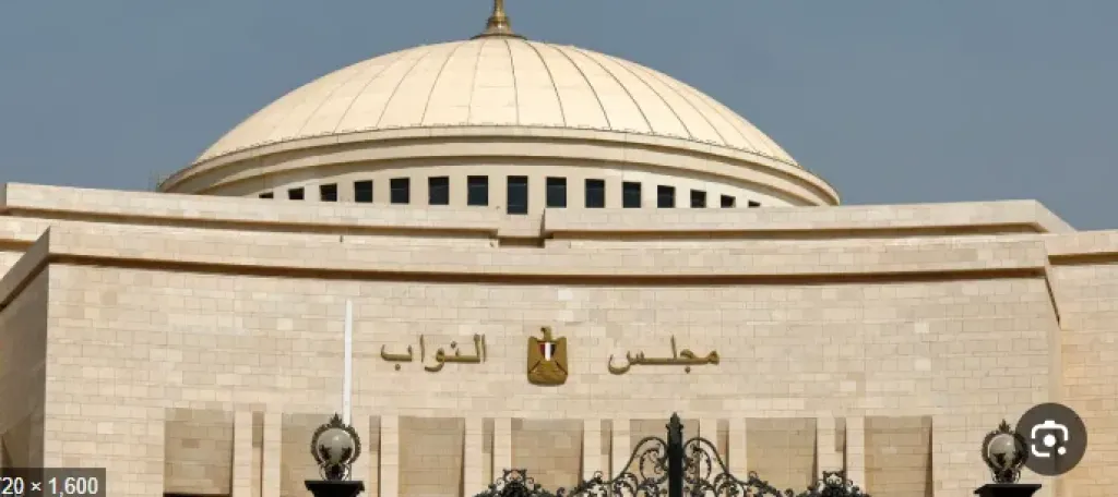 هل تُعاد انتخابات مجلس النواب؟ إلغاء 48 دائرة يكشف أزمة غير مسبوقة في تاريخ الانتخابات المصرية