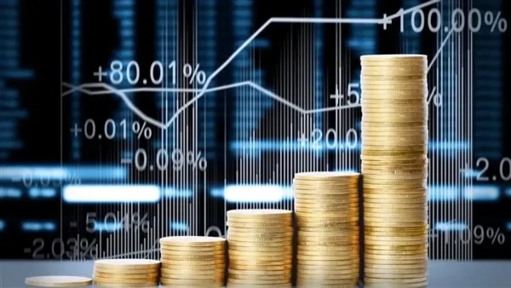 أفضل صناديق الاستثمار في مصر 2025.. أعلى العوائد حتى نهاية نوفمبر