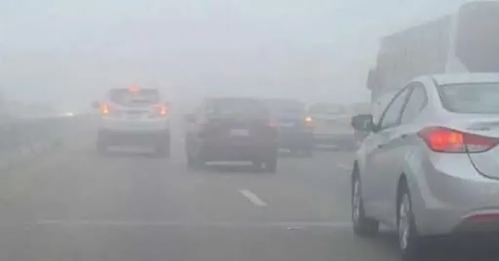 حالة الطقس غدًا الأحد 14 ديسمبر 2025 في مصر.. برودة صباحية وشبورة كثيفة وأمطار متفرقة